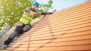 Best Skylights  in Dentsville, SC